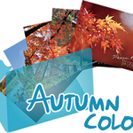 《Autumn Color》 Ranger’s Photo Gallery