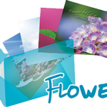 《Flower》  Ranger’s Photo Gallery